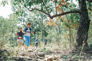 BIB: 
                            <button type="button" onclick="openModal(26096543)" class="btn btn-primary btn-sm float-right btn-popup" data-toggle="modal" data-target=".modal-high-quality">
                        <i class="fas fa-shopping-cart"></i> Add to Cart
                    </button>
                                            <button type="button" onclick="isThisMe(26096543, true)" class="btn btn-success btn-sm float-right btn-popup btn-isme hidden" data-toggle="tooltip" data-placement="bottom" title="นี่คือรูปของคุณใช่ไหม คลิกที่นี่เพื่อเอาเข้าอัลบั้ม">
                        <i class="fas fa-plus"></i> Add to album
                    </button>
                    <button type="button" onclick="isThisMe(26096543, false)" class="btn btn-warning btn-sm float-right btn-popup btn-isnotme hidden">
                        <i class="fas fa-ban"></i> Remove from album
                    </button>